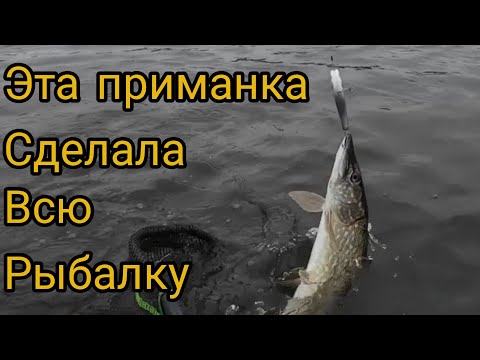 Видео: ПОВЕРИЛ В ПРИМАНКУ И РАЗЛОВИЛ НА ПЕРВОЙ ЖЕ РЫБАЛКЕ.Ловля щуки на кастинг осенью.