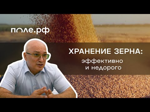 Видео: Как сохранить зерно в условиях низких цен и приближающегося урожая с минимальными инвестициями.