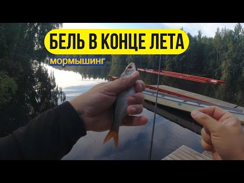 Видео: #мормышинг | Бель в конце лета |