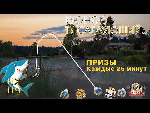 Видео: RF4 | 🎣 Русская рыбалка 4 🎣 | 🎁 Рулетка каждые 25 мин.🎁 | 🎁 БОКСЫ 🎁 | 🐺 7 дней према 🐺