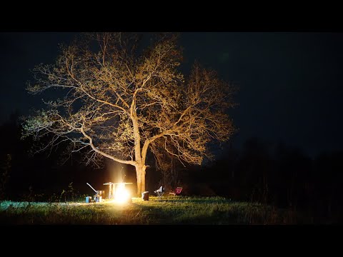Видео: Тёша в начале мая