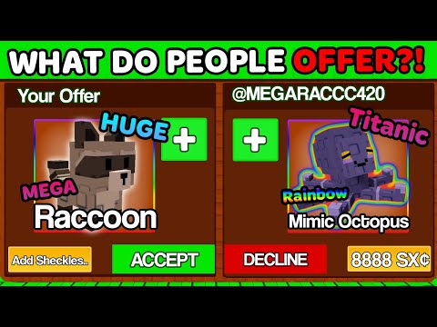 Видео: Что предлагают люди за огромного енота в Grow A Garden?