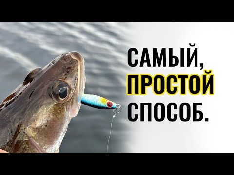 Видео: Самый, простой способ ловли судака и берша мешками- сплавом. Адмирал и мормышка с тюлькой.