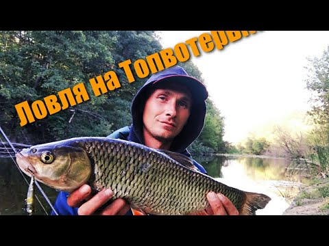 Видео: Ловля на Топвотеры!!! Просто и эффективно ловим голавля!!!