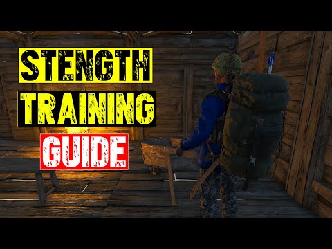 Видео: Полное руководство для отбросов в 2024 году — пора заняться силовыми тренировками и подготовкой