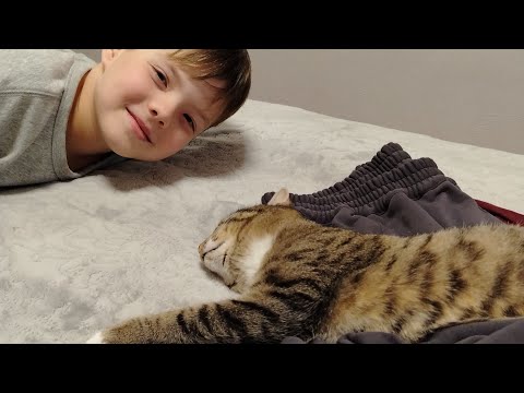 Видео: ДЕМЕНЦИЯ. Обычная неделя 