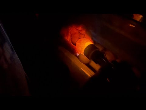 Видео: Овоскопирование Яиц Бройлеров Кобб 500 Чехия И Доминант На 5 Сутки