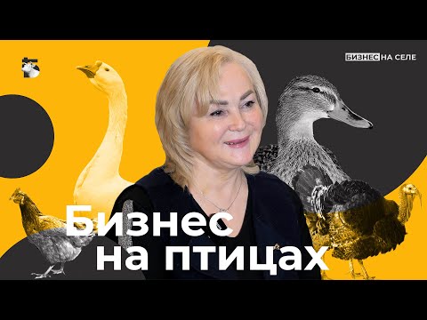 Видео: Утки, гуси, куры и индюки. Как прапорщик секретной воинской части создала миллионный бизнес на птице