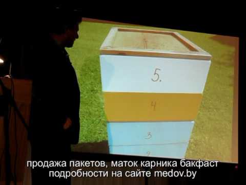 Видео: Пчеловодство на 145 рамку .Часть 3.