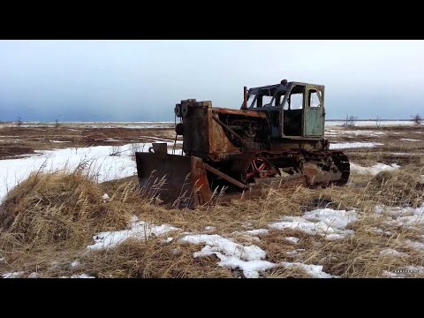 Видео: Ноябрьский металлокоп. Добиваю ямы. Находки супер. Адреналин зашкаливает.