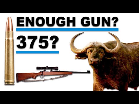 Видео: Достаточно ли пули 375 H&H весом 270 гран для печально известной охоты на мыс Буффало в дельте За...