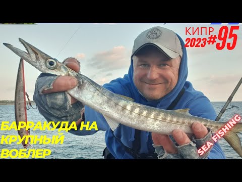 Видео: Рыбалка на Кипре.Барракуда на крупный воблер.Часть - 95.Сезон 2023