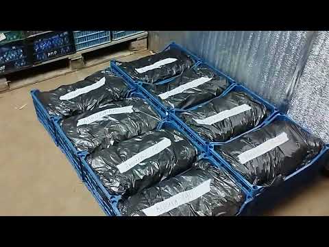 Видео: Как хранится рассада в холодильнике