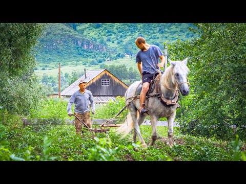 Видео: Жизнь Русской Деревни в Казахстане | Празднование Дня Святой Троицы ☦️
