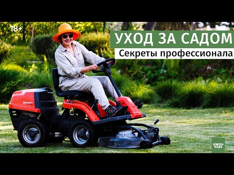 Видео: Хотите, чтобы сад выглядел стильно? Ландшафтный дизайн и уход.