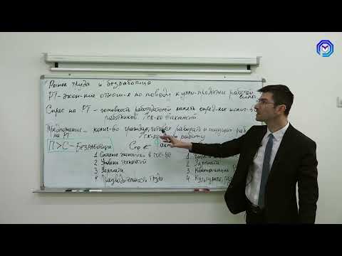 Видео: Рынок труда. Безработица. ЕГЭ по обществознанию. Алихан Динаев
