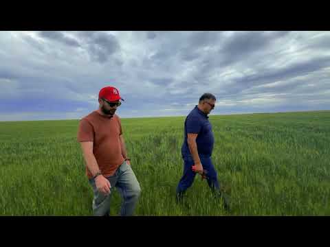 Видео: 🎥 Картофельный энтузиаст в Казахстане — ТОО «Найдоровское» | ЧАСТЬ 3