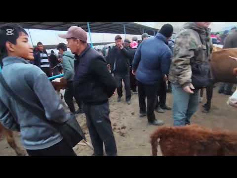 Видео: 16 НОЯБР 2025 ЖЫЛ ШЫМБАЙ МАЛ БАЗАР БАХАЛАРЫ 