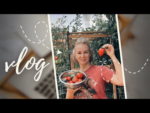 Видео: Посылка от Вики @viktoriia_scrapbooking. Удачная покупка, огород, прогулка и альбом. #скрапбукинг