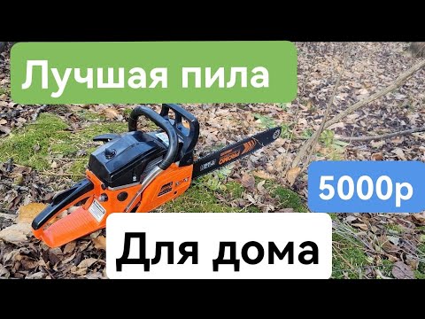 Видео: Carver PRomo PSG 52-18 Лучшая бюджетная пила с магазина DNS