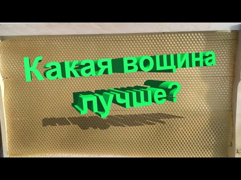 Видео: Профессор Кашковский: вощина лучше литая или катаная?