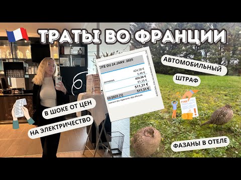 Видео: VLOG // Оплачиваю счета во Франции 🇫🇷  Делюсь квитанциями 💸 Откуда на моей работе Фазаны?