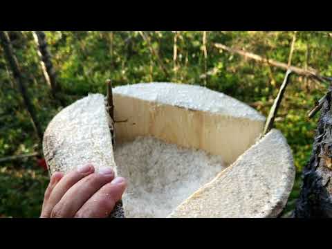 Видео: изготовление солонца