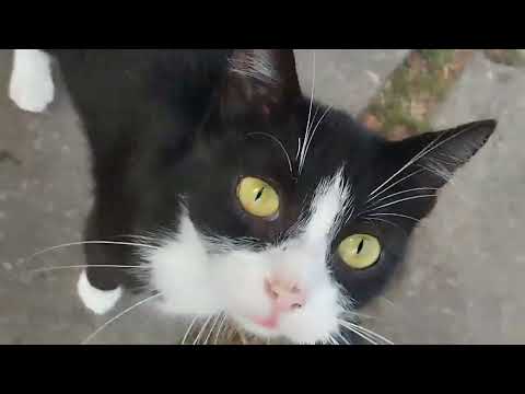 Видео: Влог сентябрь