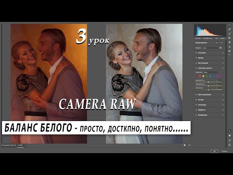 Видео: CAMERA RAW.  БАЛАНС БЕЛОГО - ПРОСТО, ПОНЯТНО, ДОСТУПНО (3)