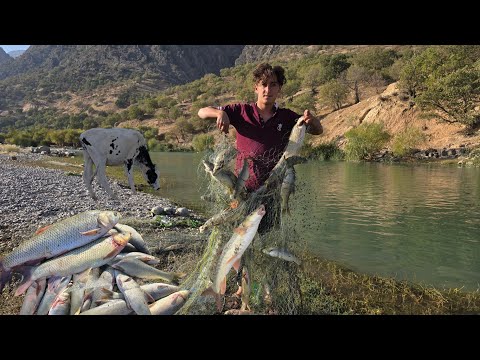 Видео: 🎣Рыбалка в дикой реке с помощью самодельной сети / много рыбы и возможность поделиться ею с соседями
