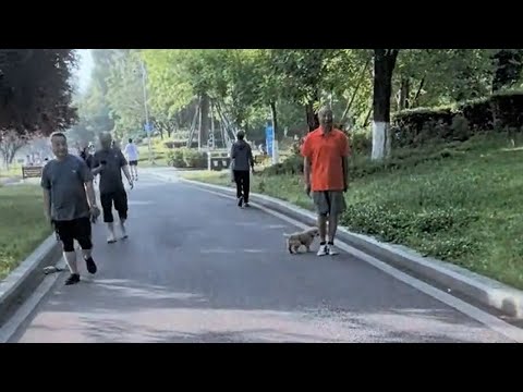 Видео: Он отчаянно пытался понравиться всем, но никто не хотел его спасать...