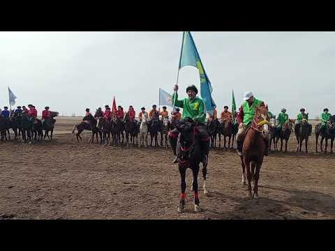 Видео: Көкпар Май ауданының кубогы ашылу салтанаты! 30.03.2025ж