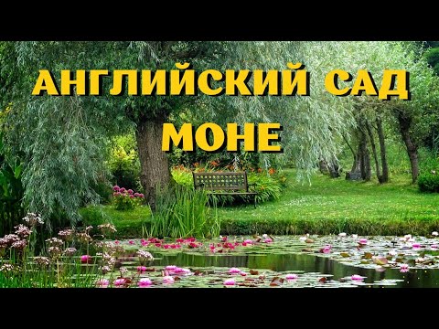 Видео: Англия. Сад водяных лилий (нимфеи). Bennetts Water Gardens. Weymouth. Август 2025