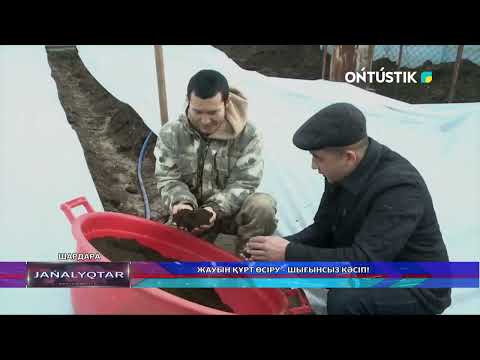 Видео: Жауын құрт өсіру - шығынсыз кәсіп!