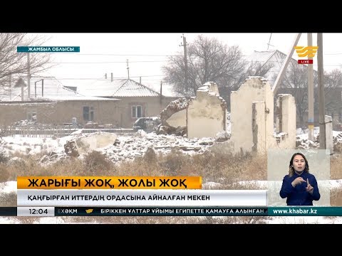 Видео: Жамбыл облысындағы Қаратау қаласында шешілмеген мәселе көп