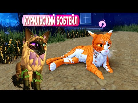 Видео: КУРИЛЬСКИЙ БОБТЕЙЛ. [ КОТЫ ВОИТЕЛИ-РОБЛОКС] Скин кота бобтейла#earriors#cat