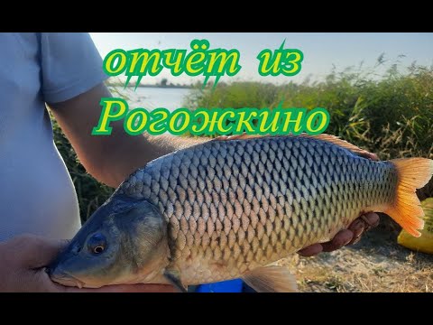 Видео: Отчёт рыбалки из Рогожкино. Осеннее полнолуние. Не хватка рыбальных мест. Новые приключения.