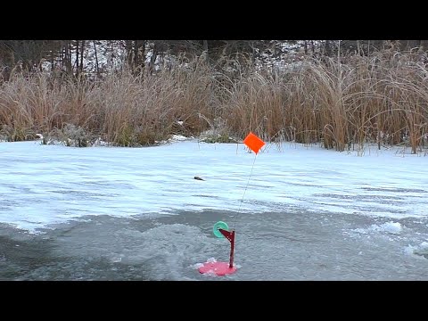 Видео: Зимняя рыбалка на жерлицы 2022-2023 ! Ловля ЩУКИ на ЖЕРЛИЦЫ по первому льду!