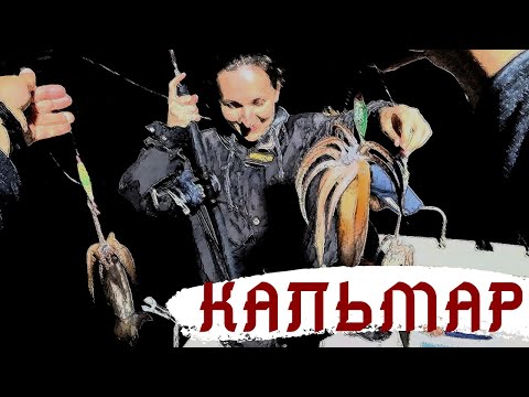 Видео: Ловим кальмара! Рыбалка в море на головоногих! Тестируем снасти!