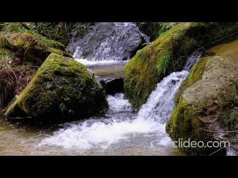 Видео: Роза Әлқожа Туған жер
