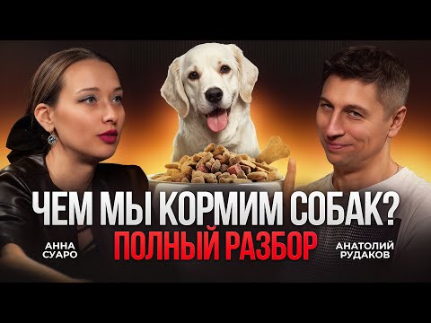 Видео: ВСЯ ПРАВДА ПРО КОРМ ДЛЯ СОБАК. Дорогие корма – это просто маркетинг?