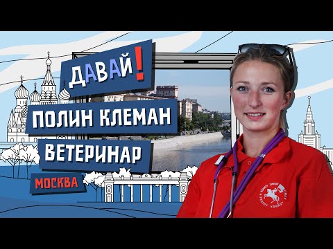 Видео: Давай! Француженка-ветеринар: спасает тех, кого мы приручили