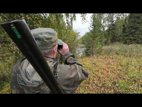 Видео: СЕГОДНЯ НЕ ТВОЙ ДЕНЬ, ДЕДА! / ОХОТА НА УТКУ.