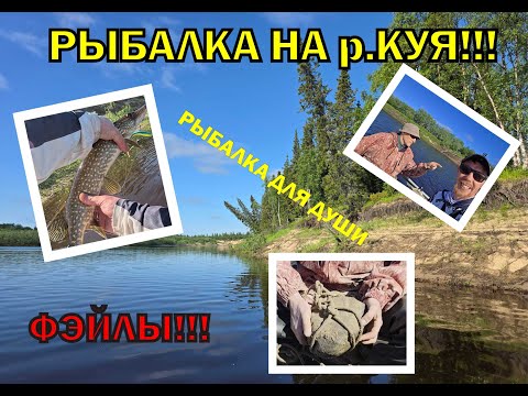 Видео: РЫБАЛКА НА РЕКЕ КУЯ!!! Рыбалка для души! Щучки, окуни, язи. ФЭЙЛЫ и КАЗУСЫ!!!