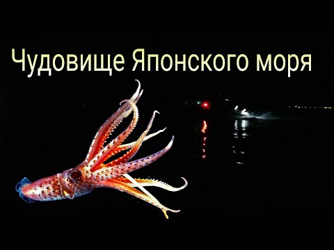 Видео: НОЧНАЯ МОРСКАЯ РЫБАЛКА НА КАЛЬМАРА И ЕРША В ЯПОНСКОМ МОРЕ с Лодки на Спиннинг.