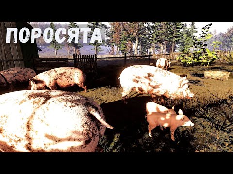 Видео: Farmer's Life - СЕМЬ НОВЫХ ПОРОСЯТ.  Расширяю ЗАГОН # 65