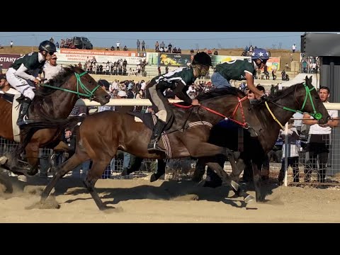 Видео: Скачки В Махачкале 15.99.2023. Все Заезды ! @kamaludin_005