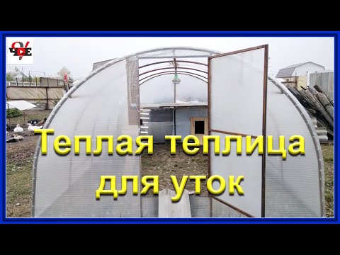 Видео: Теплая теплица для уток в зимний период