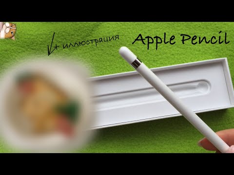 Видео: Купила Apple Pencil! Распаковка и первое впечатление🍀