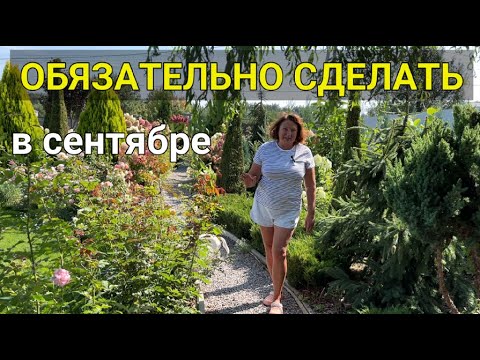 Видео: РАБОТЫ в саду СЕНТЯБРЬ 🍁 2025г | Пересадка гортензий, черенкование роз и гортензий, подкормки сада